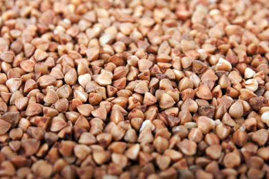 Healthy eating cereal food - brown buckwheat seed