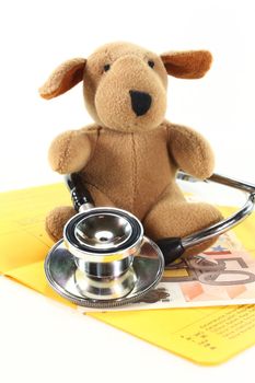 a stuffed dog with a stethoscope and Euros