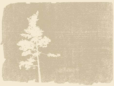 pine silhouette on grunge background