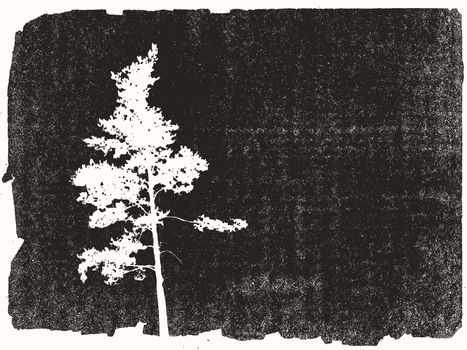 pine silhouette on grunge background