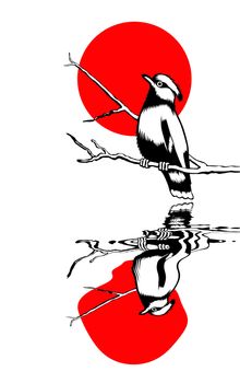 bird on branch silhouette on solar background