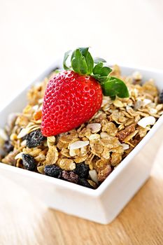 Bowl of granola cereal with fresh strawberry