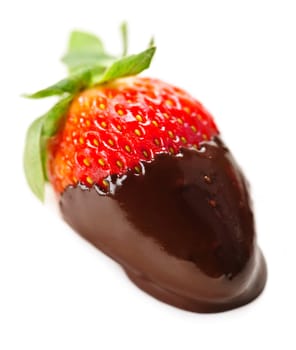 Strawberry dipped in delicious chocolate isolated on white