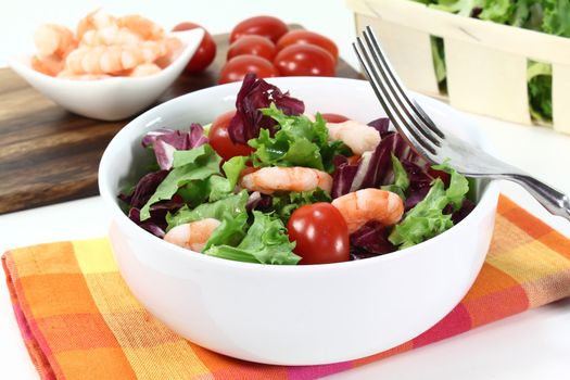 mixed leaf salad with shrimp and tomatoes