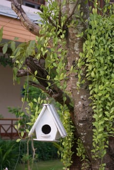 Bird house hanging on tree in the garden