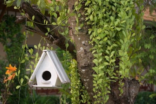 Bird house hanging on tree in the garden