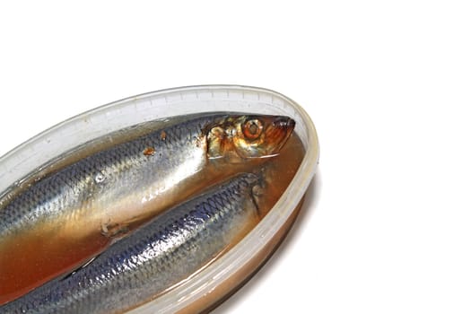 salty herring on white background