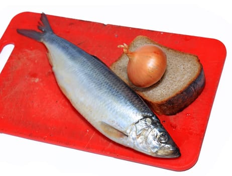 salty herring on white background