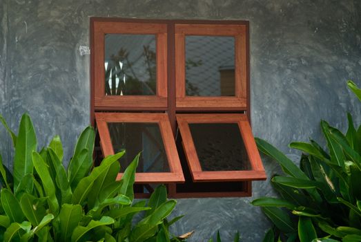 Wooden window frame on concret wall with plants