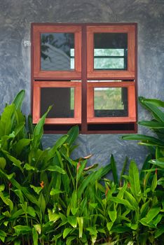 Wooden window frame on concret wall with plants