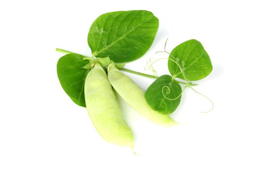 Pea and leaf isolated on white