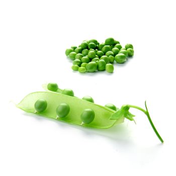  Pea isolated on white close up