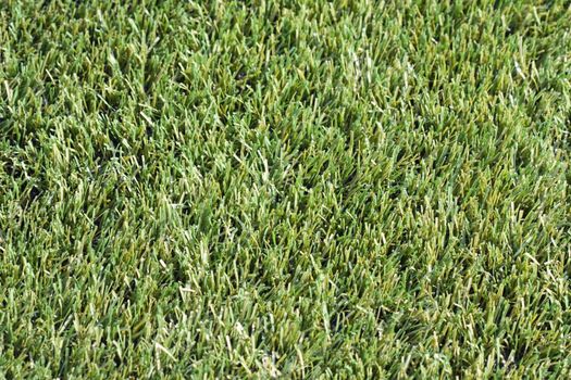 Playing soccer sport green grass field background