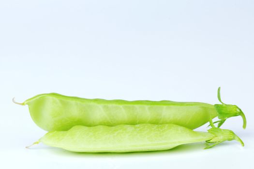  Pea isolated on white close up