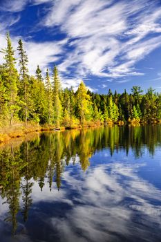 Evergreen forest and sky reflecting in calm lake at Algonquin Park, Canada