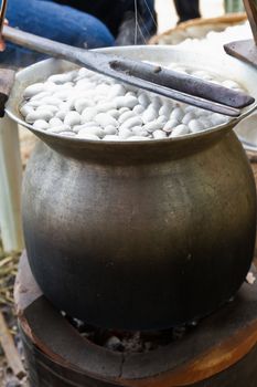 Boiling cocoon in a pot to prepare a cocoon silk.