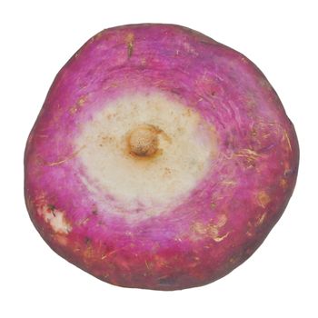 Beetroot vegetable aka the table beet, garden beet, red beet - isolated over white background