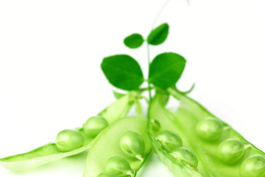 Pea and leaf isolated on white