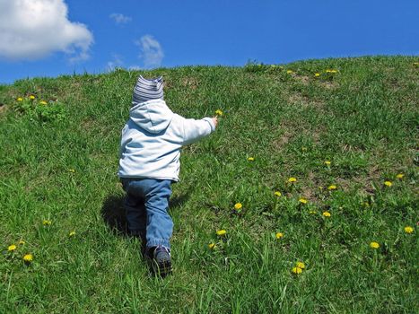 Little child with flower on grass and blue sky