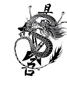 Black dragon and white background