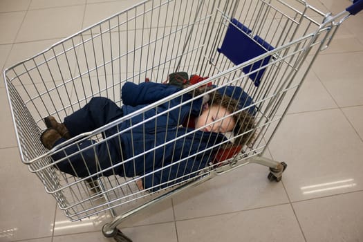 Little child in supermarket store shopping cart