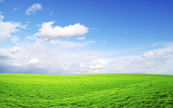 field on a background of the blue sky