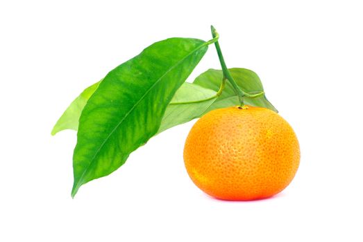 tangerine isolated on a white background