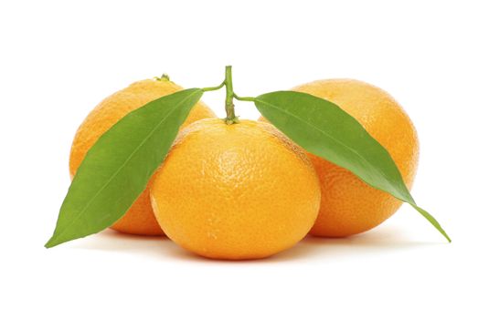  tangerine isolated on a white background