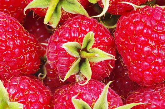 sweet fresh raspberry close up