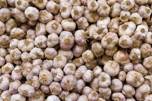 Garlic in market for sell