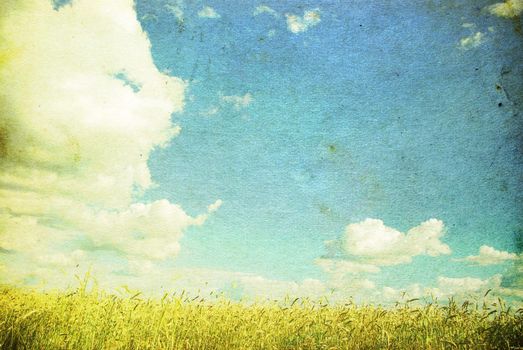 Grunge background with golden wheat in a farm field
