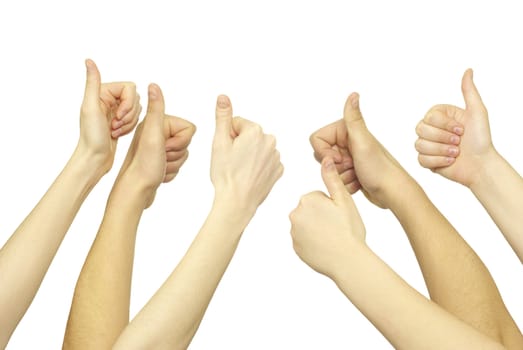 Many hand lifted up on white background