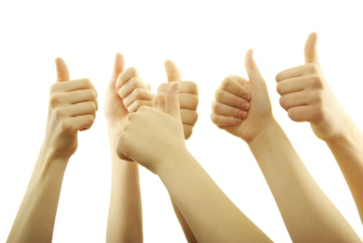 Many hand lifted up on white background