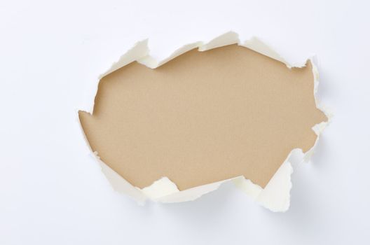 torn paper with space for your message