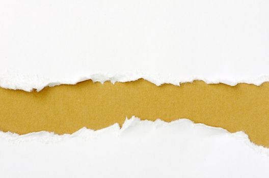 torn paper with space for your message