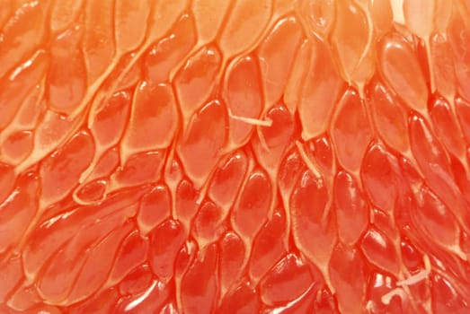 close up fresh halves grapefruit
