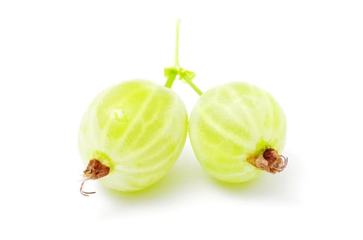 Green gooseberry fruit on white