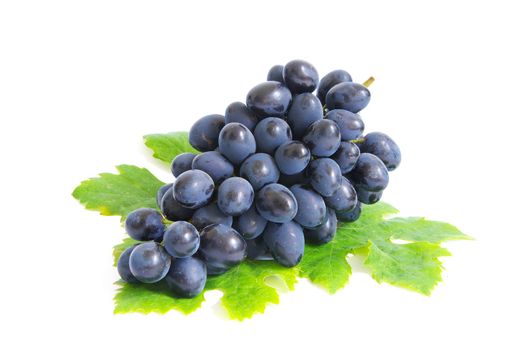 Fresh grapes brunch with green leafs