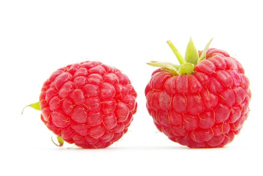 fresh raspberry closeup isolated on white background