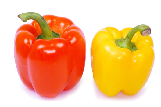Colored  pepper isolated on a white background