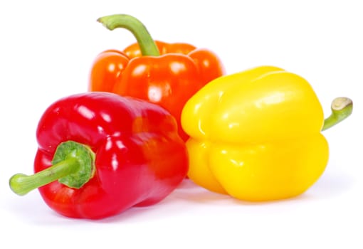 Colored  pepper isolated on a white background