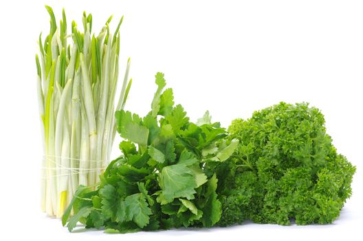 Fresh herbs isolated on white