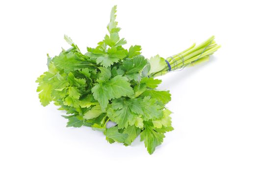 Bunch of fresh green parsley isolated on white background