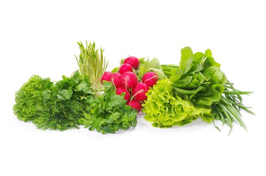 herbs isolated on a white
