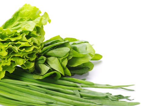 Fresh herbs isolated on white