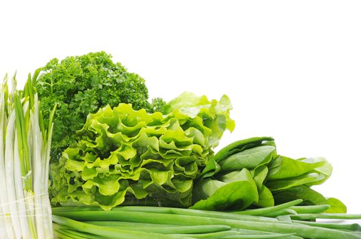 Fresh herbs isolated on white