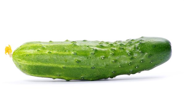 cucumbers on the white background