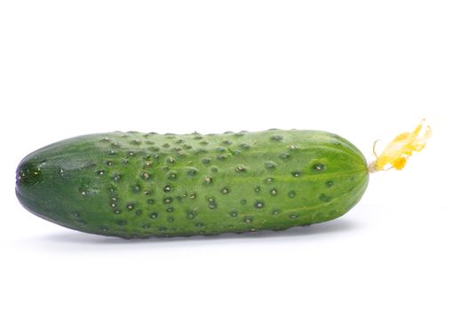 cucumbers on the white background