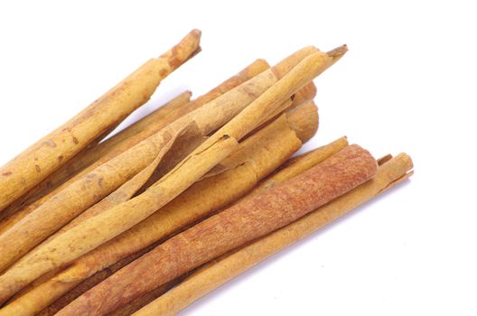 cinnamon bark on a white background