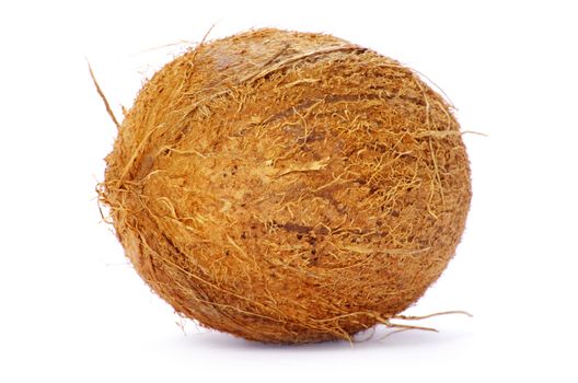 Whole coconut on white background